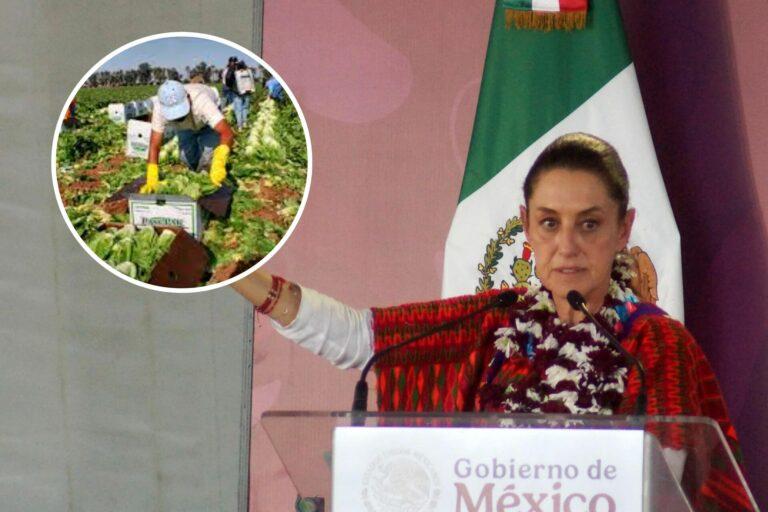 Migrantes mexicanos sostienen la economía de EE. UU., afirma Sheinbaum |