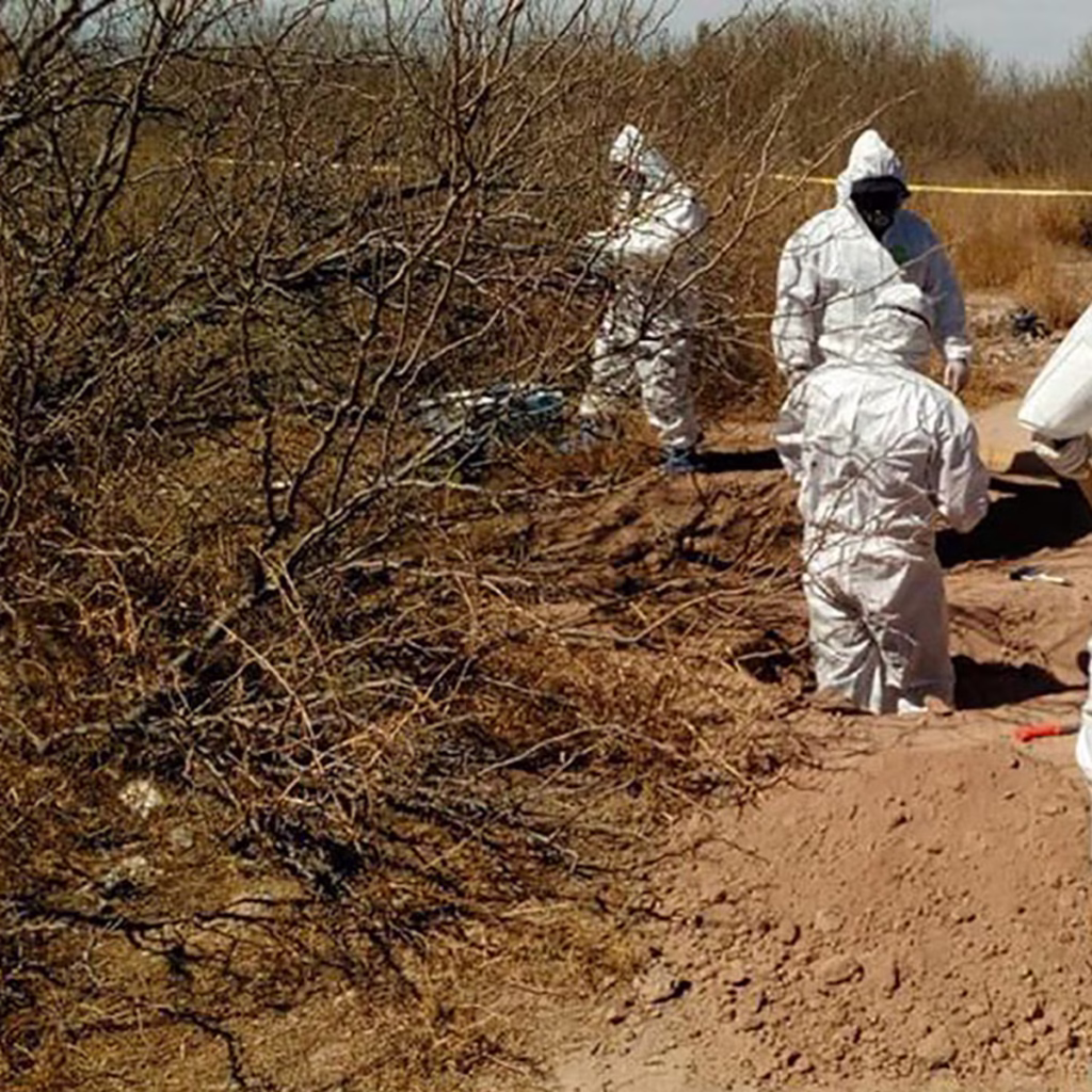 Nuevo hallazgo de restos humanos en Tlajomulco: crisis en Jalisco