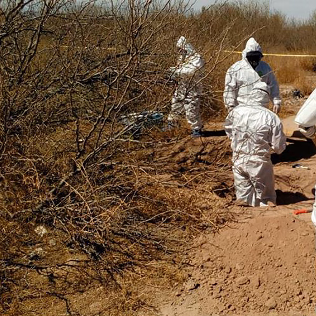 Nuevo hallazgo de restos humanos en Tlajomulco: crisis en Jalisco