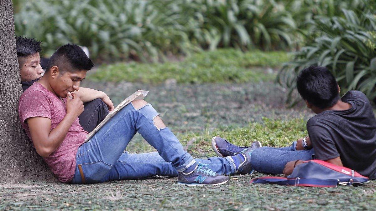 Sheinbaum advierte: Unirse al crimen organizado no es vida, es muerte