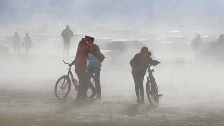 Tolvaneras en México: Cómo protegerte de este peligroso fenómeno
