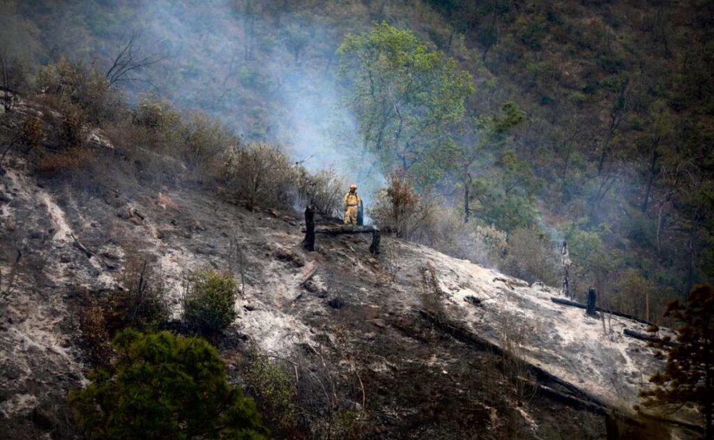 Tragedia en la Sierra de Santiago: 12 muertos tras caída de van familiar