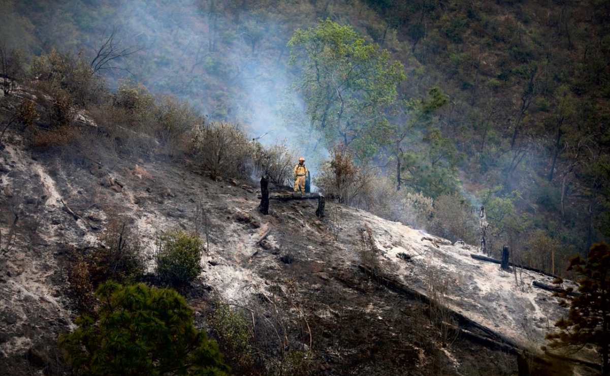 Tragedia en la Sierra de Santiago: 12 muertos tras caída de van familiar