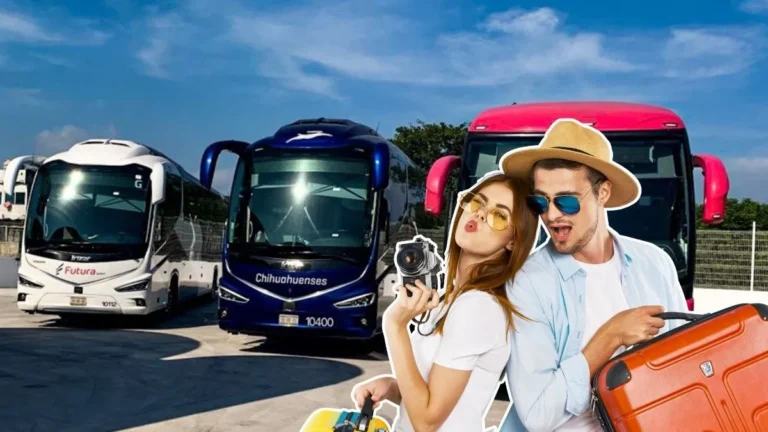 Semana Santa, descuentos en transporte, estudiantes, maestros, SEP, SICT, Profeco, movilidad, autobuses, vacaciones escolares, Estrella Blanca, Ómnibus de México, transporte público, derechos del consumidor, turismo nacional, política educativa, México 2025