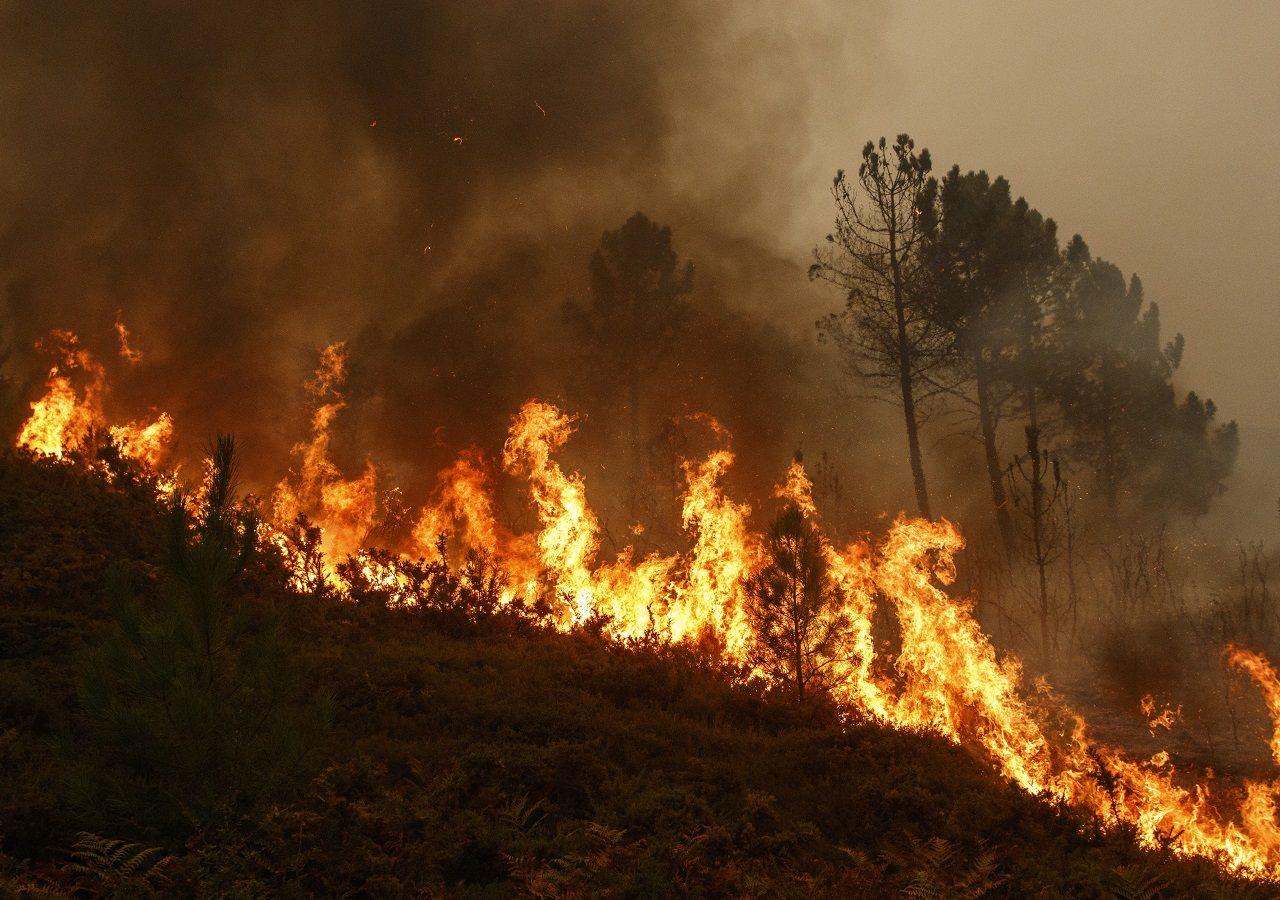 Incendio en el Bosque La Primavera: Suspensión de Clases y Restricciones Temporales por Emergencia Atmosférica