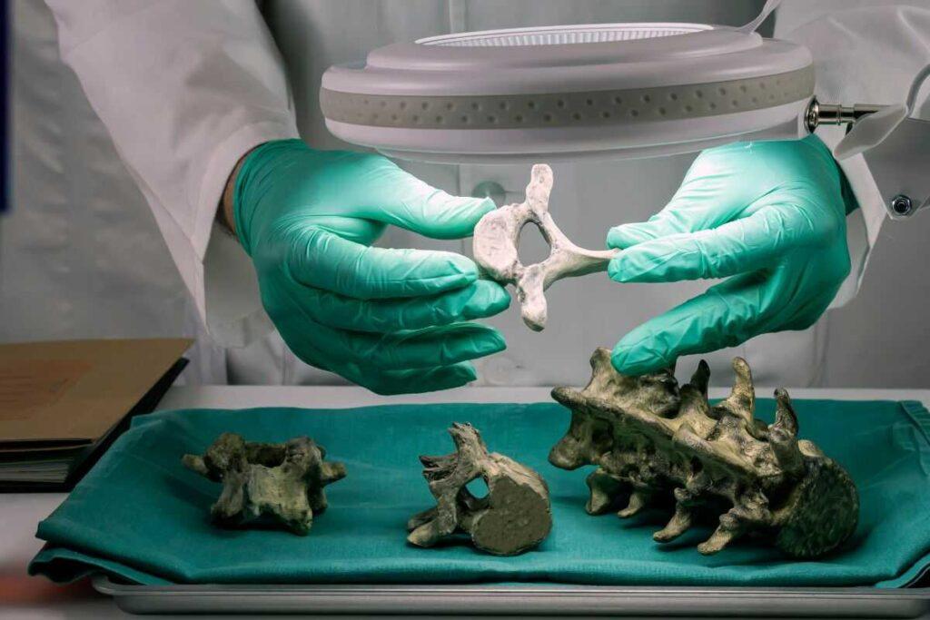 El hallazgo de 84 cuerpos en fosas clandestinas en El Willy, Chihuahua, revela la magnitud de la crisis de desapariciones en México y sus implicaciones.