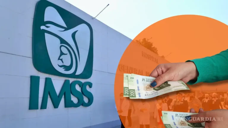 Afiliación al Seguro Social por Cuenta Propia en México: Requisitos y Costos