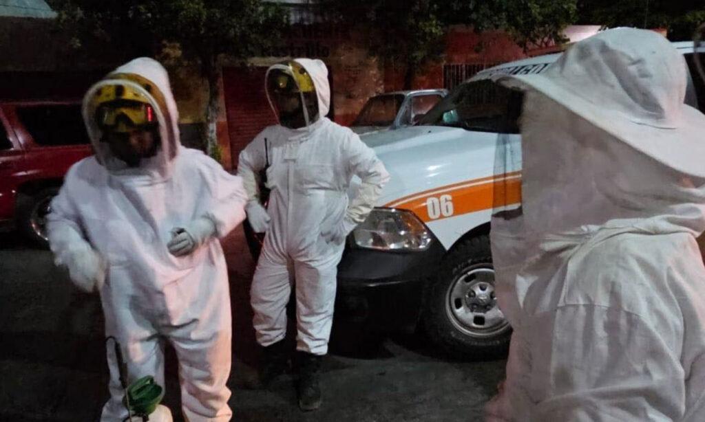 Ataque de abejas en Colima