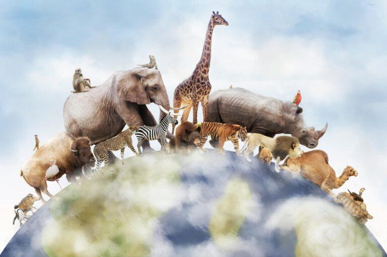 Cómo evitar la extinción de especie
