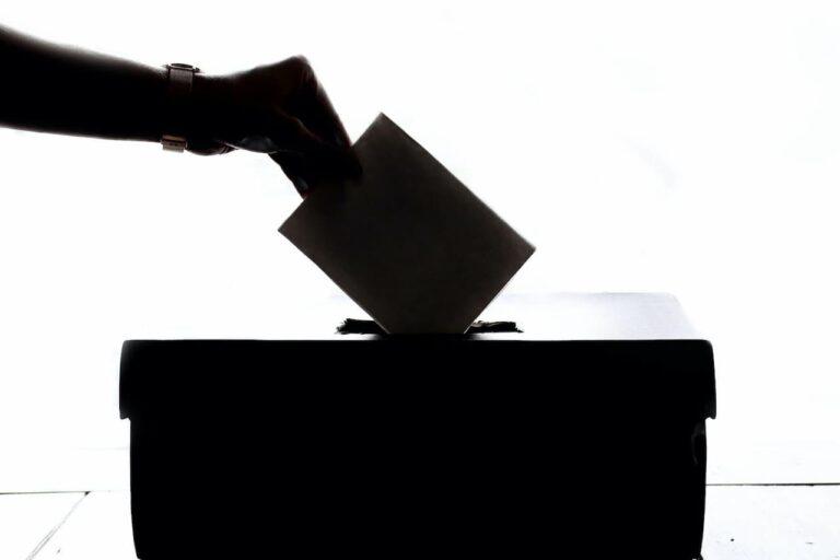 Cómo funciona la democracia