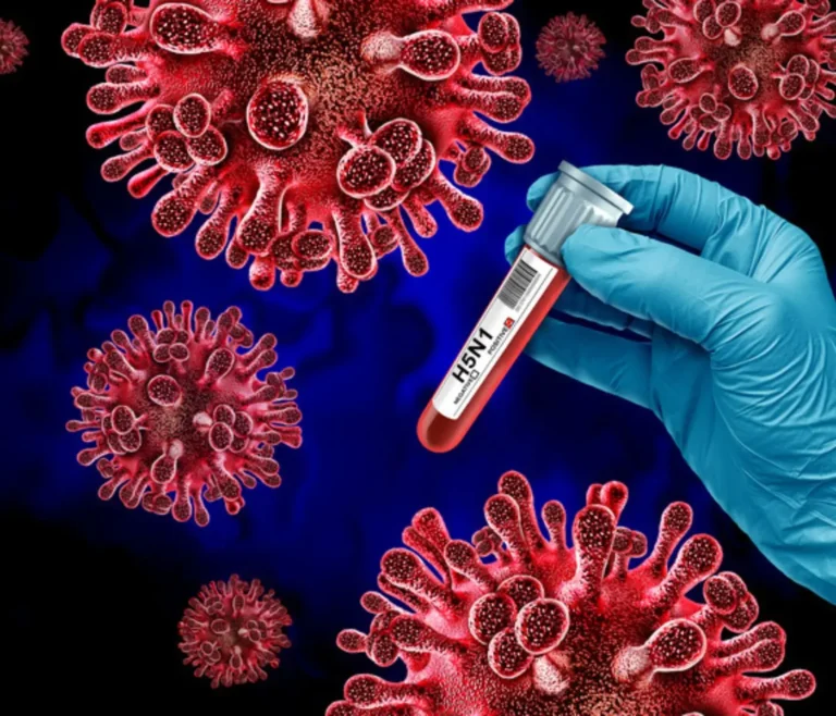 influenza aviar, H5N1, gripe aviar, Secretaría de Salud, OMS, CDC, México, Durango, zoonosis, enfermedades respiratorias, salud pública, oseltamivir, granjas avícolas