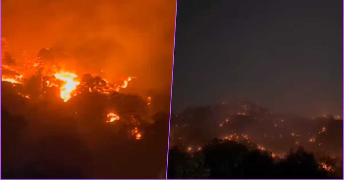 Incendio en Tepoztlán amenaza casas: desalojos y temor en aumento