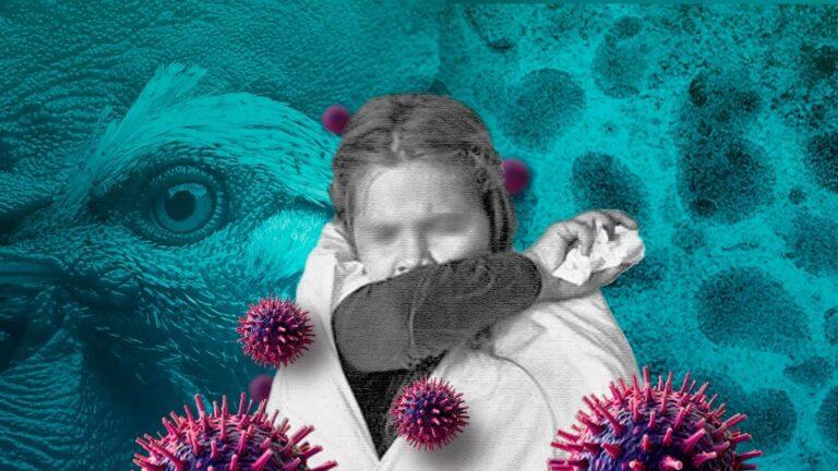 Influenza aviar en Torreón