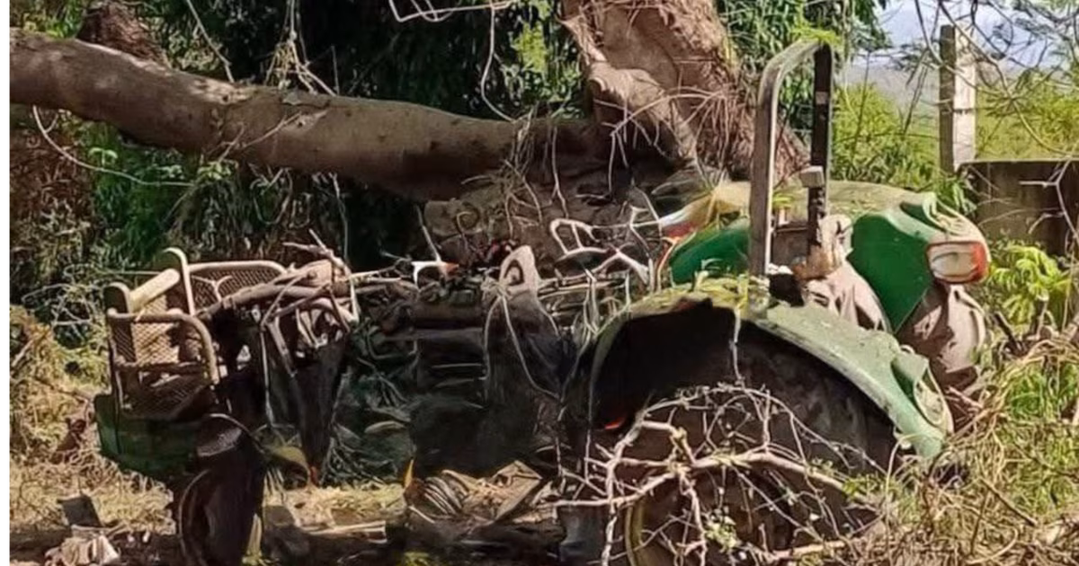 Narcominas en Michoacán: la trampa mortal que vacía pueblos enteros