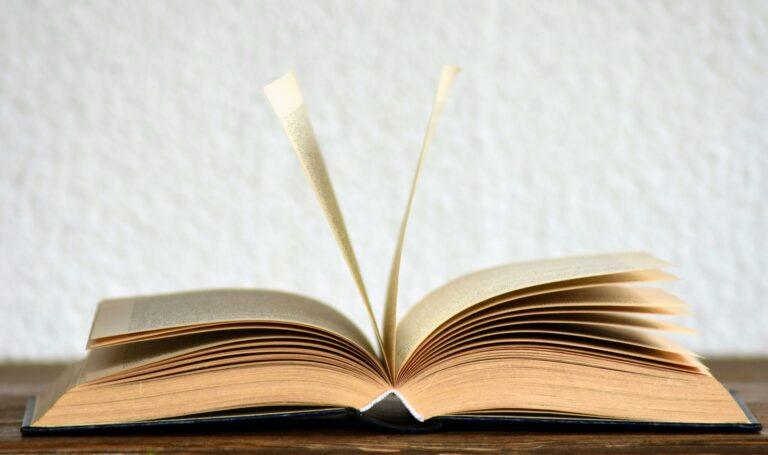 Qué es una reseña literaria