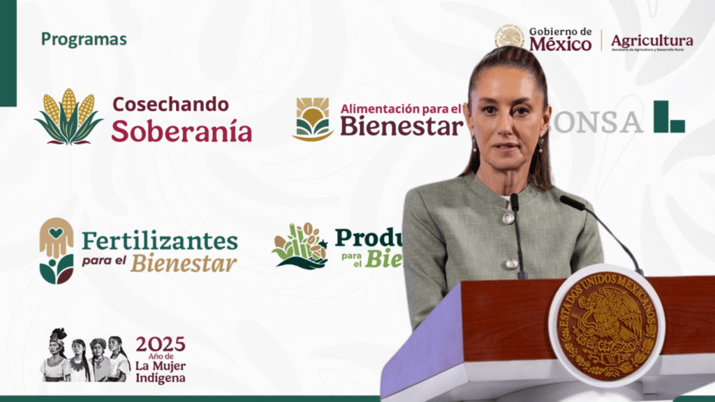 Autosuficiencia alimentaria: el plan millonario de Sheinbaum para 2025