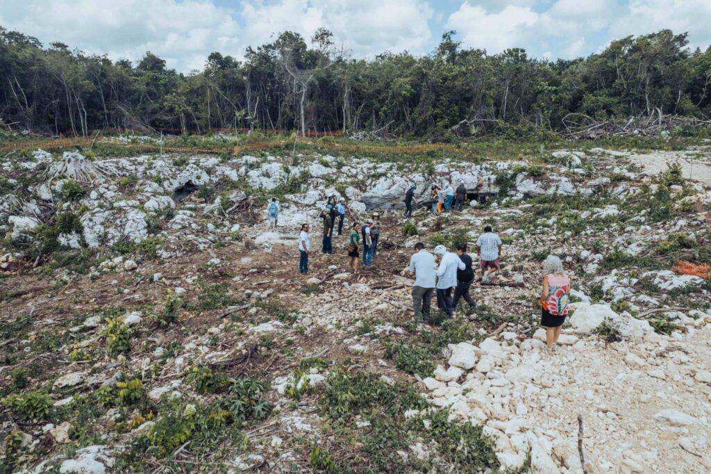 Restauración del Tren Maya: el daño ambiental que el gobierno no puede ignorar