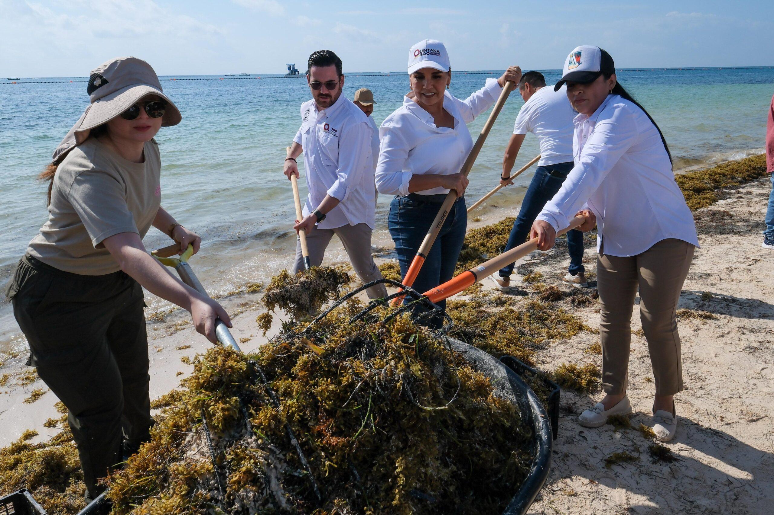 Sargazo 2025: Mara Lezama lanza estrategia para proteger las playas