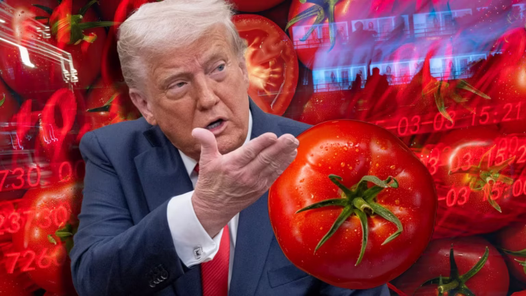 Jitomate mexicano bajo amenaza: EU anuncia tarifa del 20.91%