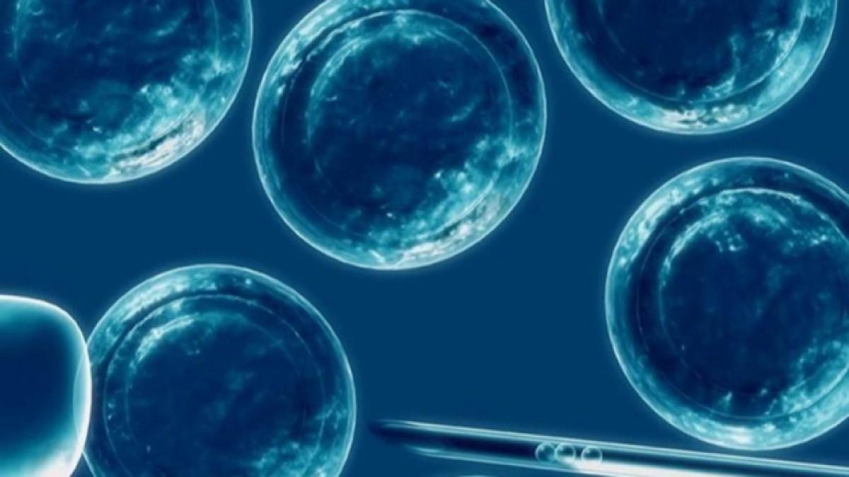 Donación de óvulos en México: Lo que nadie te dice del proceso