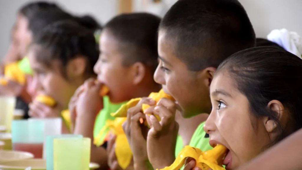 Derecho a la alimentación nutritiva: buscan elevarlo a nivel constitucional