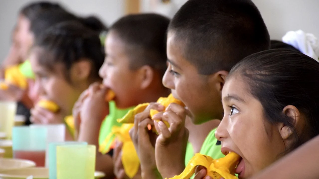 Derecho a la alimentación nutritiva: buscan elevarlo a nivel constitucional