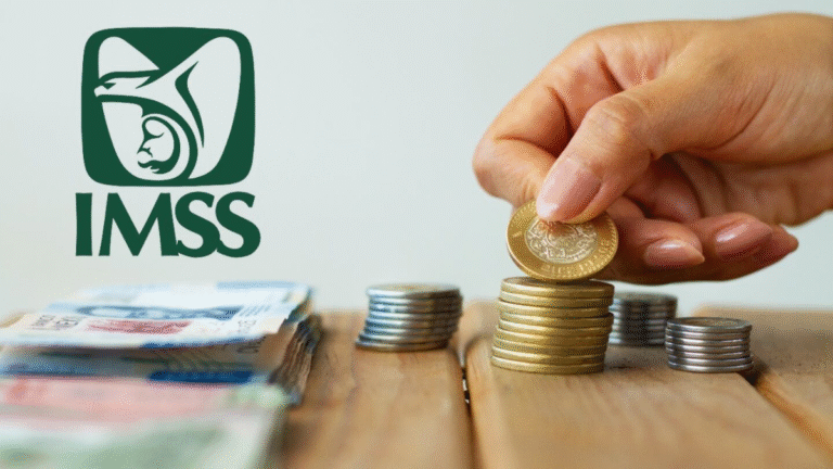 Diferencias entre Ley 73 y Ley 97 del IMSS que todo trabajador debe conocer