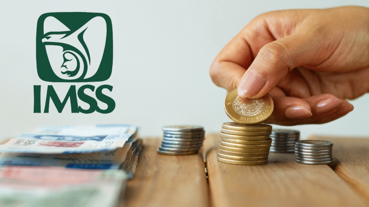 Diferencias entre Ley 73 y Ley 97 del IMSS que todo trabajador debe conocer