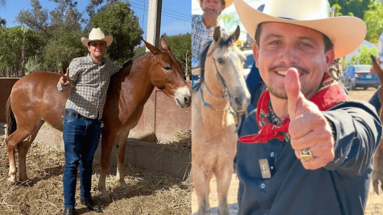 Desaparición de Ranchero 95: El misterio que sacude a Sonora