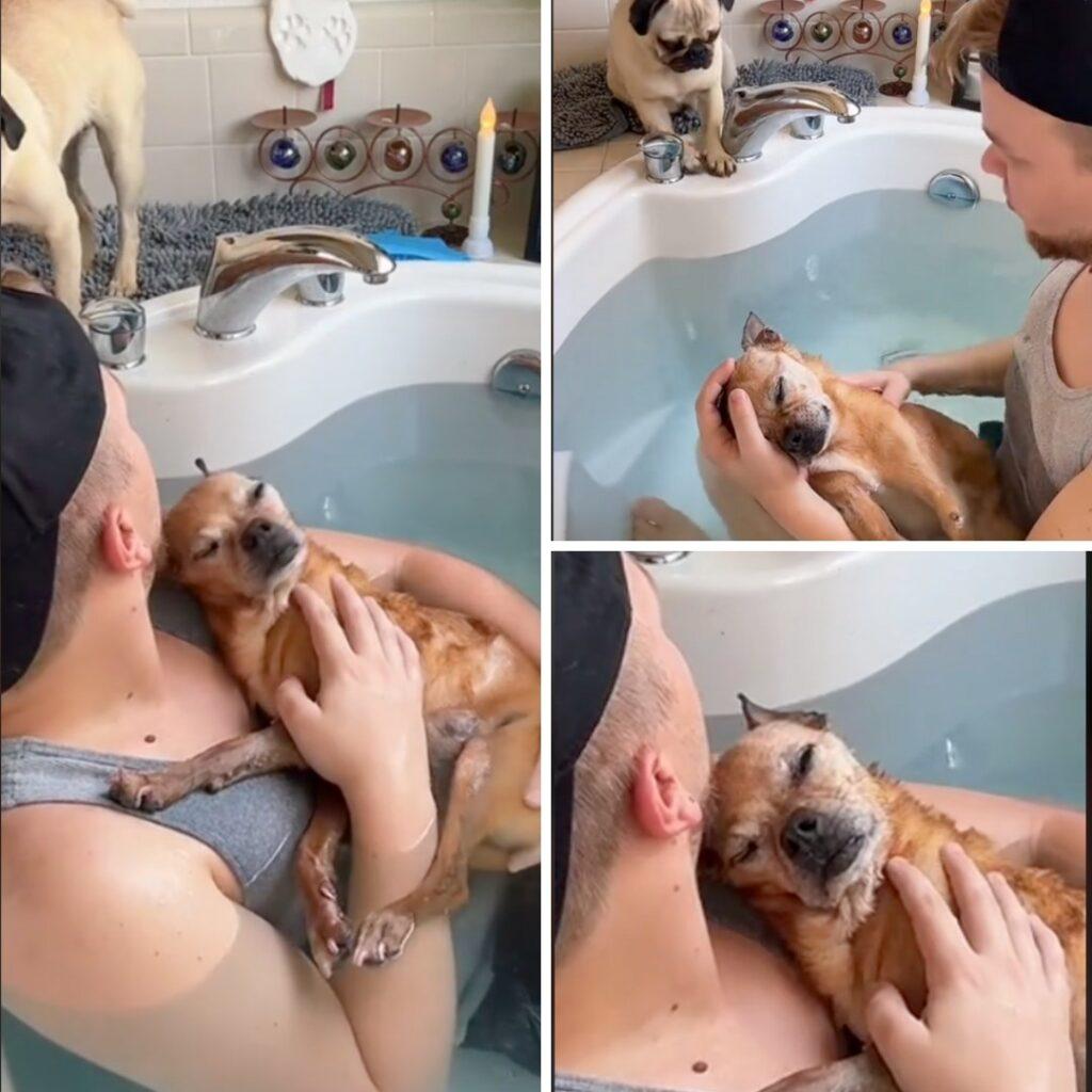 Joven conmueve al bañarse con su perrita para calmar sus dolores