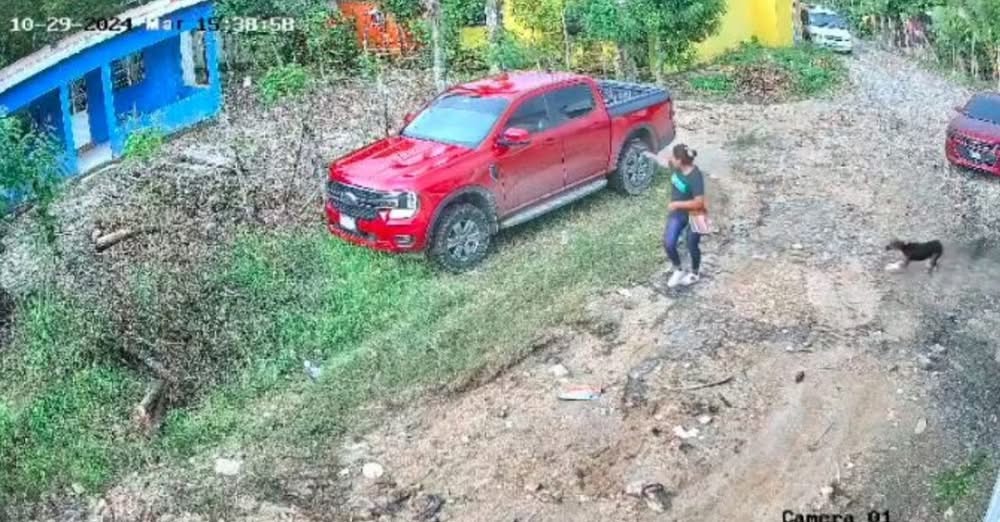 Sicaria en Veracruz: ¡Ataque fallido a empresario termina en tragedia!