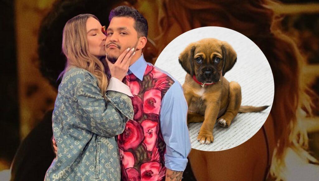 Christian Nodal golpeó al perrito de Belinda