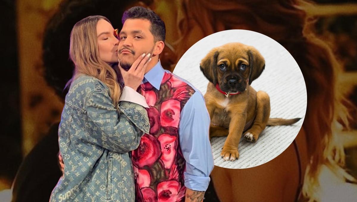 Christian Nodal golpeó al perrito de Belinda: el rumor que sacudió su ruptura