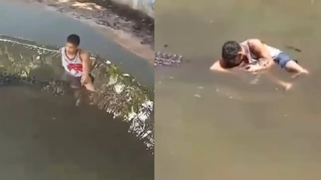 Cocodrilo ataca brutalmente a turista en zoológico: Lo confundió con una estatua