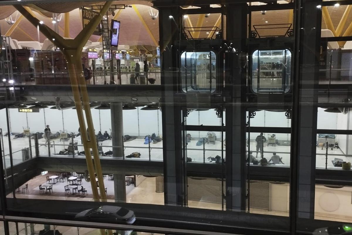 Crisis en el aeropuerto de Madrid: Plaga de insectos y caos sanitario en la T4