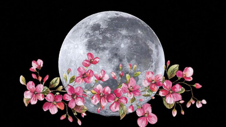 Luna de flores 2025