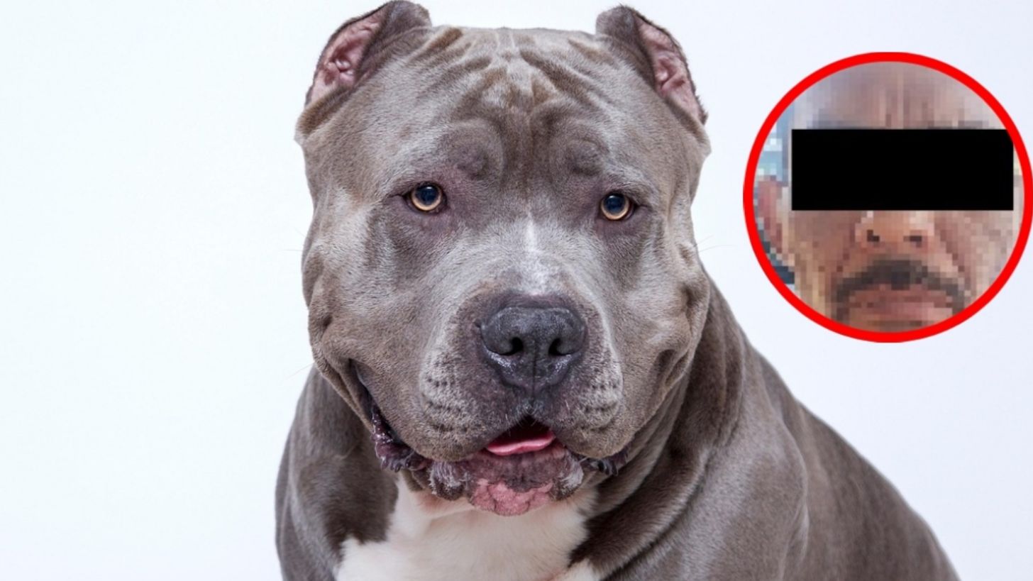 Maltrato animal en Jalisco: hombre arrastra a perro con agujeta en Zapopan