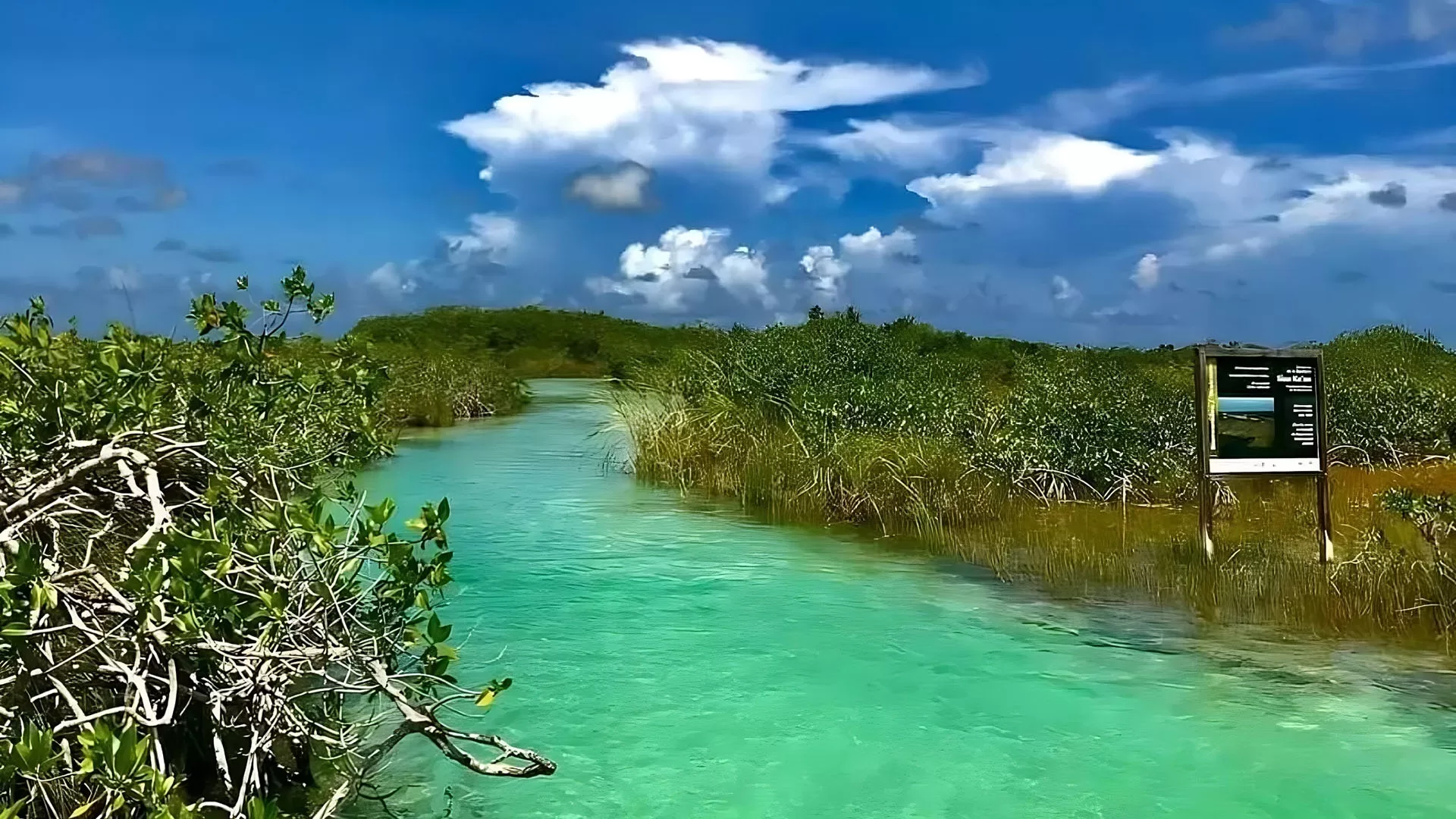 Maya Ka’an: La joya escondida de Quintana Roo que te desconecta del mundo y te conecta contigo