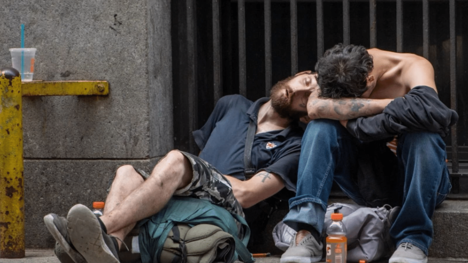 Medetomidina: la nueva droga animal que agrava la crisis del fentanilo en EE. UU.