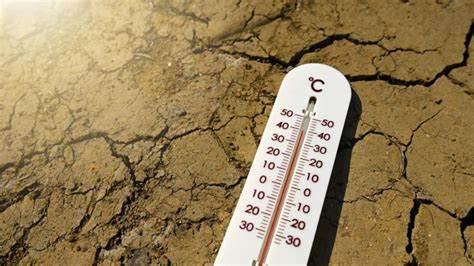 Canícula 2025 en México: lo que debes saber sobre el fenómeno de calor extremo