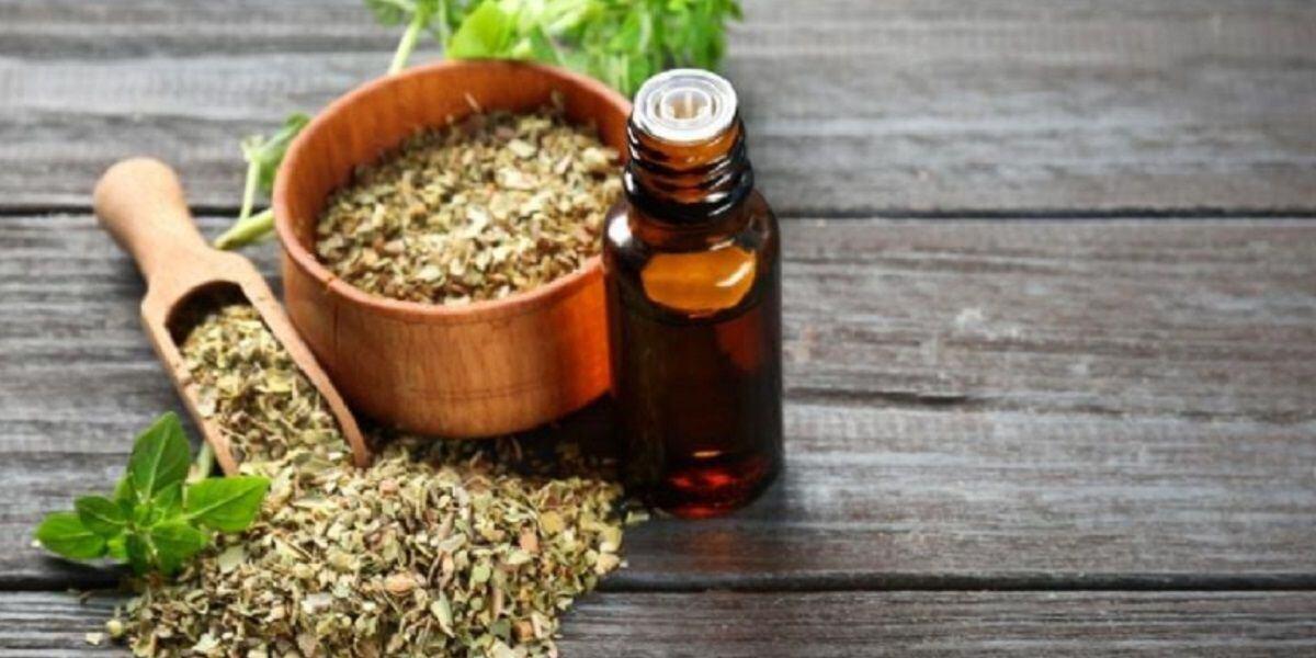 Orégano contra cucarachas: el remedio casero que está sorprendiendo a todos