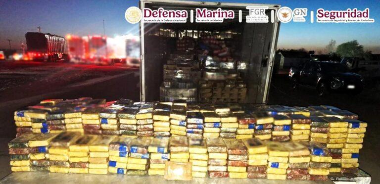 Sedena asegura 700 kilos de cocaína en Sonora