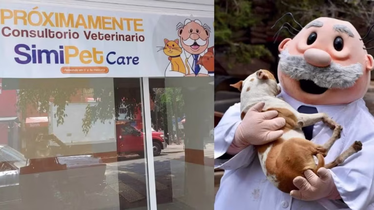 Veterinarias Dr. Simi: el nuevo SimiPet Care promete consultas baratas