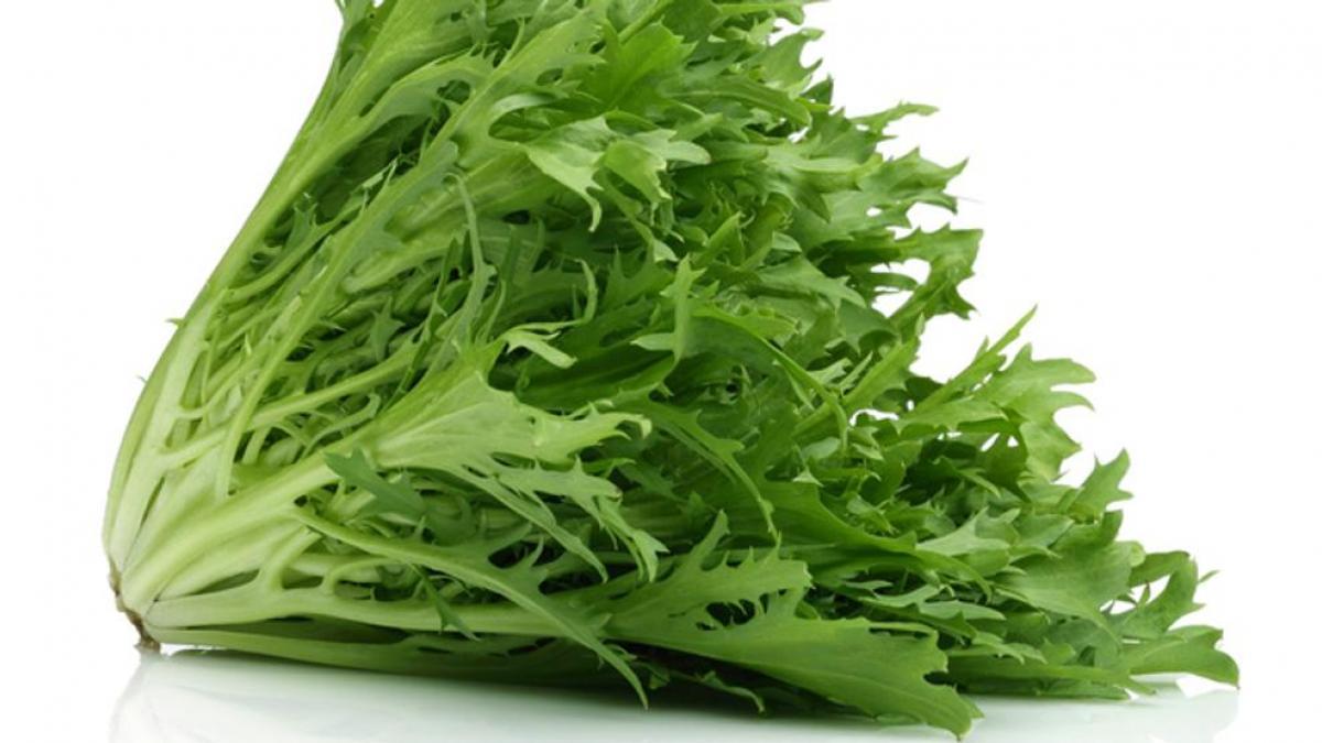 Achicoria: la planta que revoluciona la salud digestiva y hepática