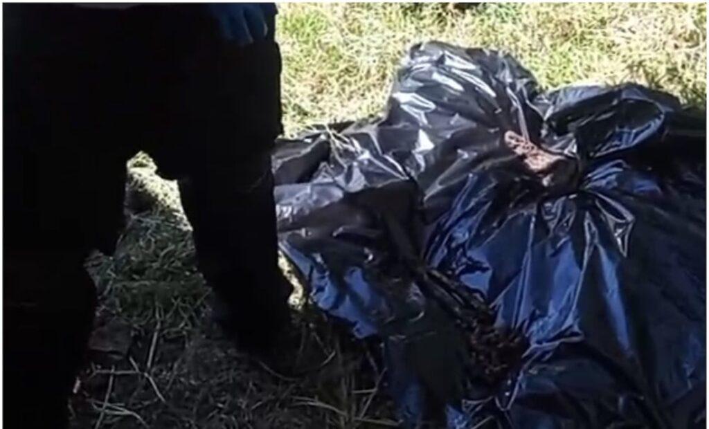 Fosa clandestina en Irapuato: hallan 15 cuerpos en casa del terror