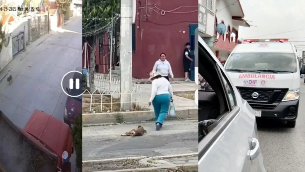 Maltrato animal en Pachuca: perrita arrastrada por su dueña causa indignación