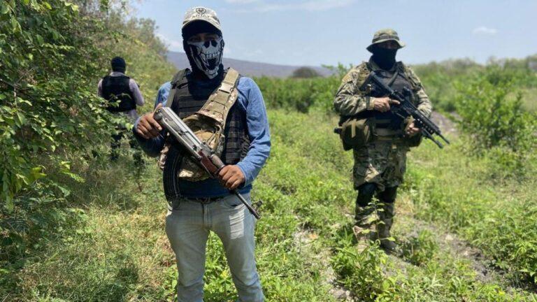 origen de los narcovideos