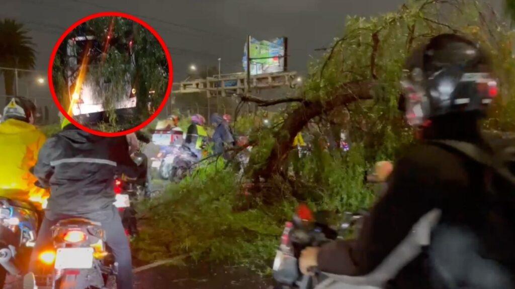 Árbolazo tumba camión en Zaragoza: Caos vial y suspensiones en la ciudad