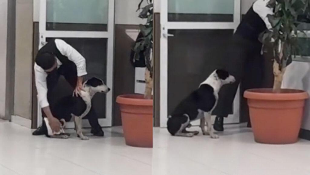 Empleado del IMSS rescata a perrito bajo la lluvia y se vuelve héroe viral