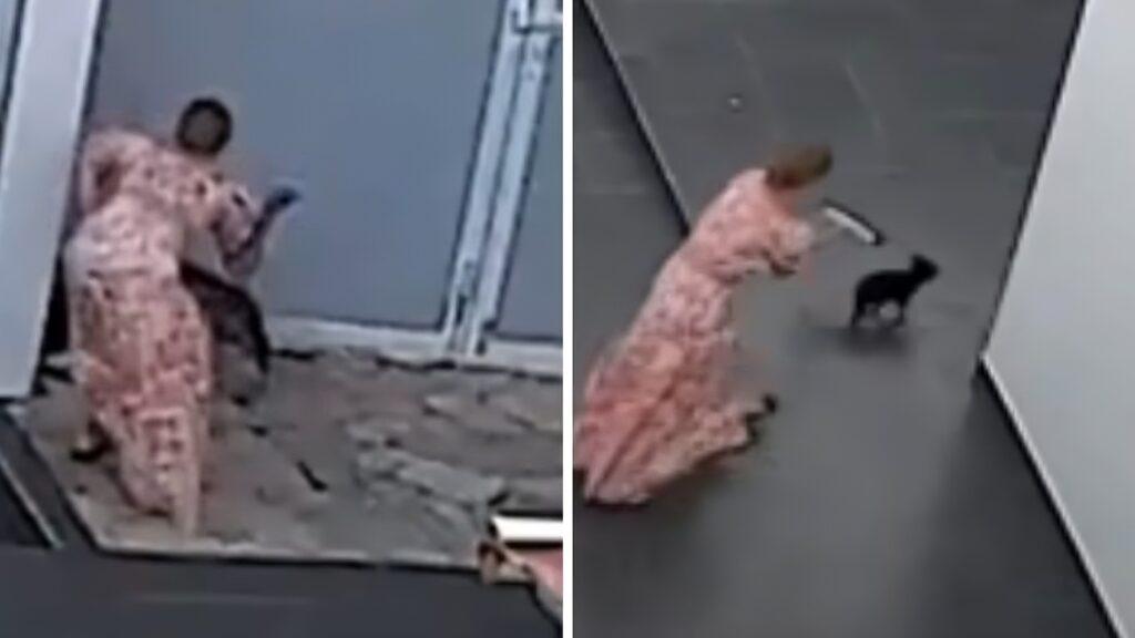 Mujer golpeando perros en Ixtapan de la Sal: Video viral desata indignación